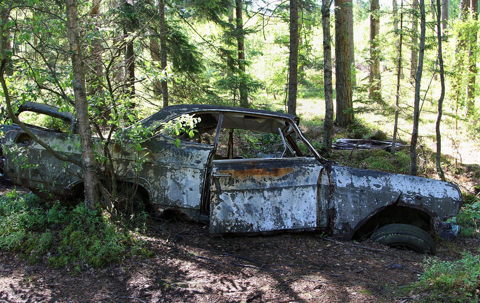 danielssons autofriedhof cars and vehicle graveyards