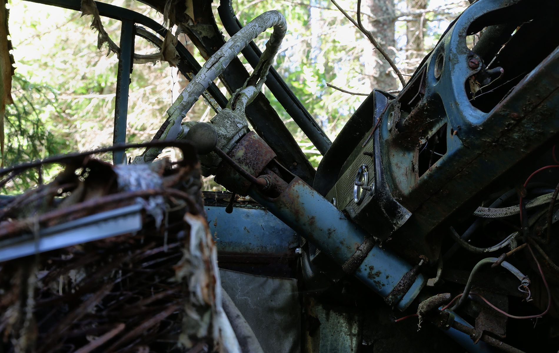 danielssons autofriedhof cars and vehicle graveyards