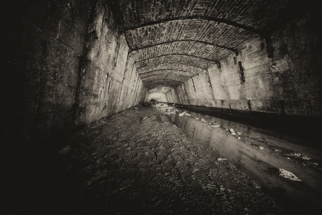 u verlagerung kroete bild