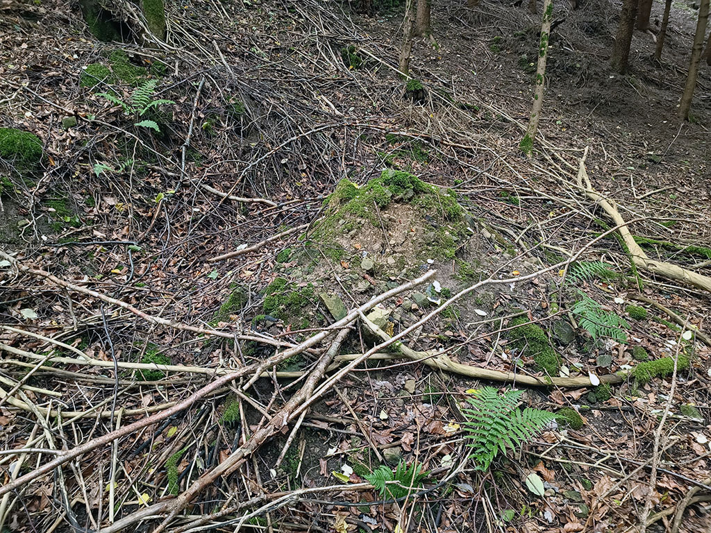 Erdaushub an der U-Verlagerung Steinbutt Erdaushub an der U-Verlagerung Steinbutt