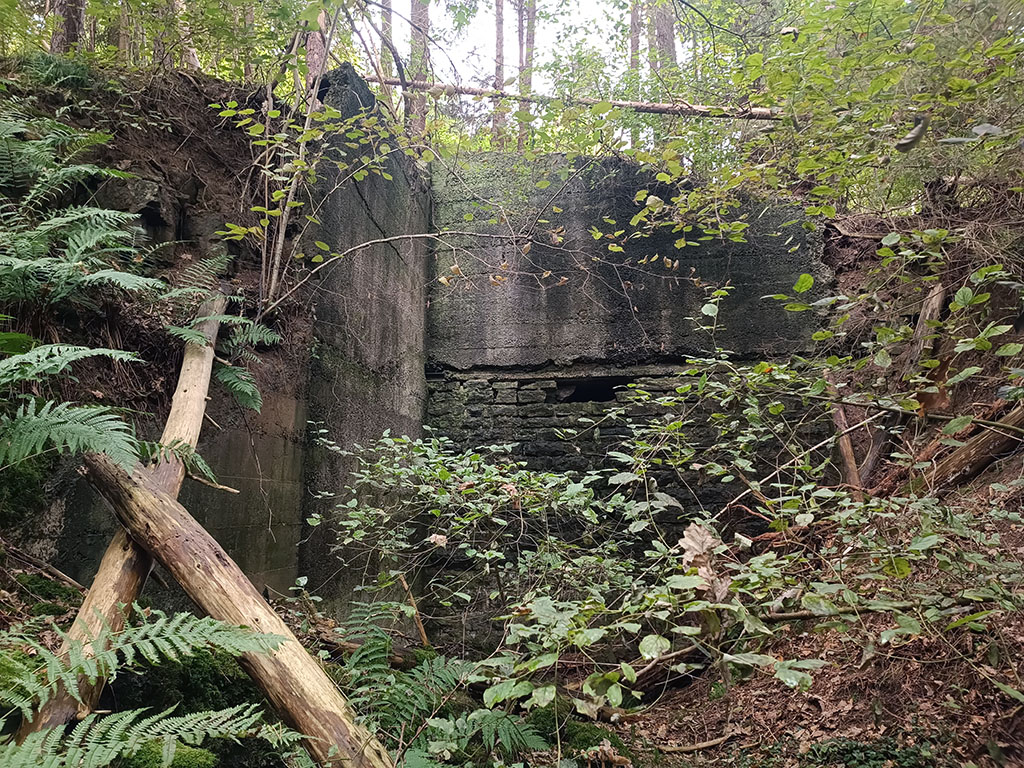 U-Verlagerung Steinbutt U-Verlagerung Steinbutt