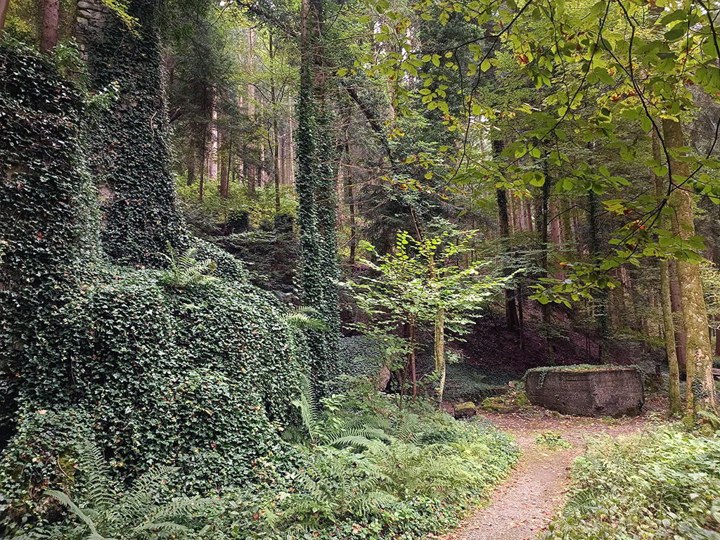 Ehemalige düstere Geschichte Überdeckt von Efeu