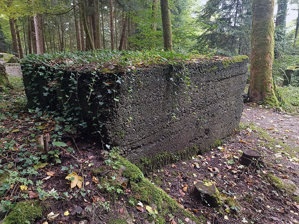 Fundament der geheimen U Verlagerung Barbe