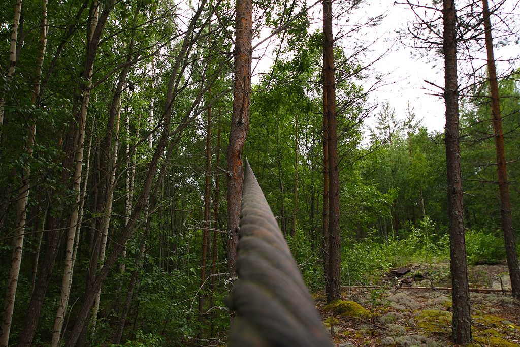 bloetberg ore field