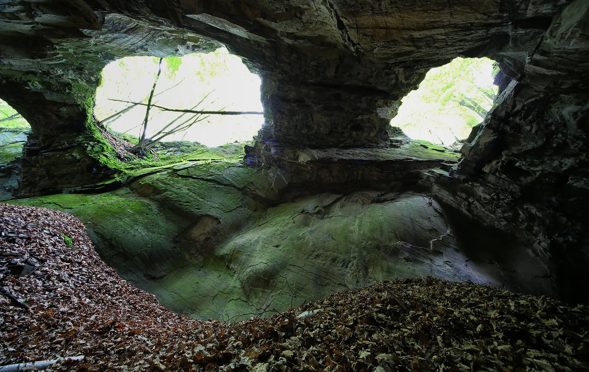 kalksteinbruch goepelbruch in maxen 14