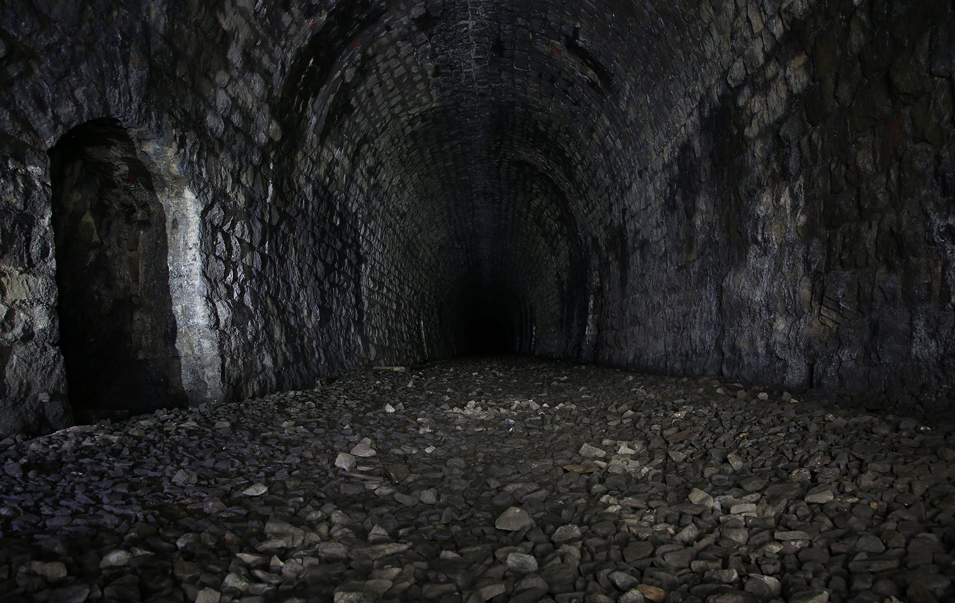 u verlagerung eisvogel u verlagerung eisvogel