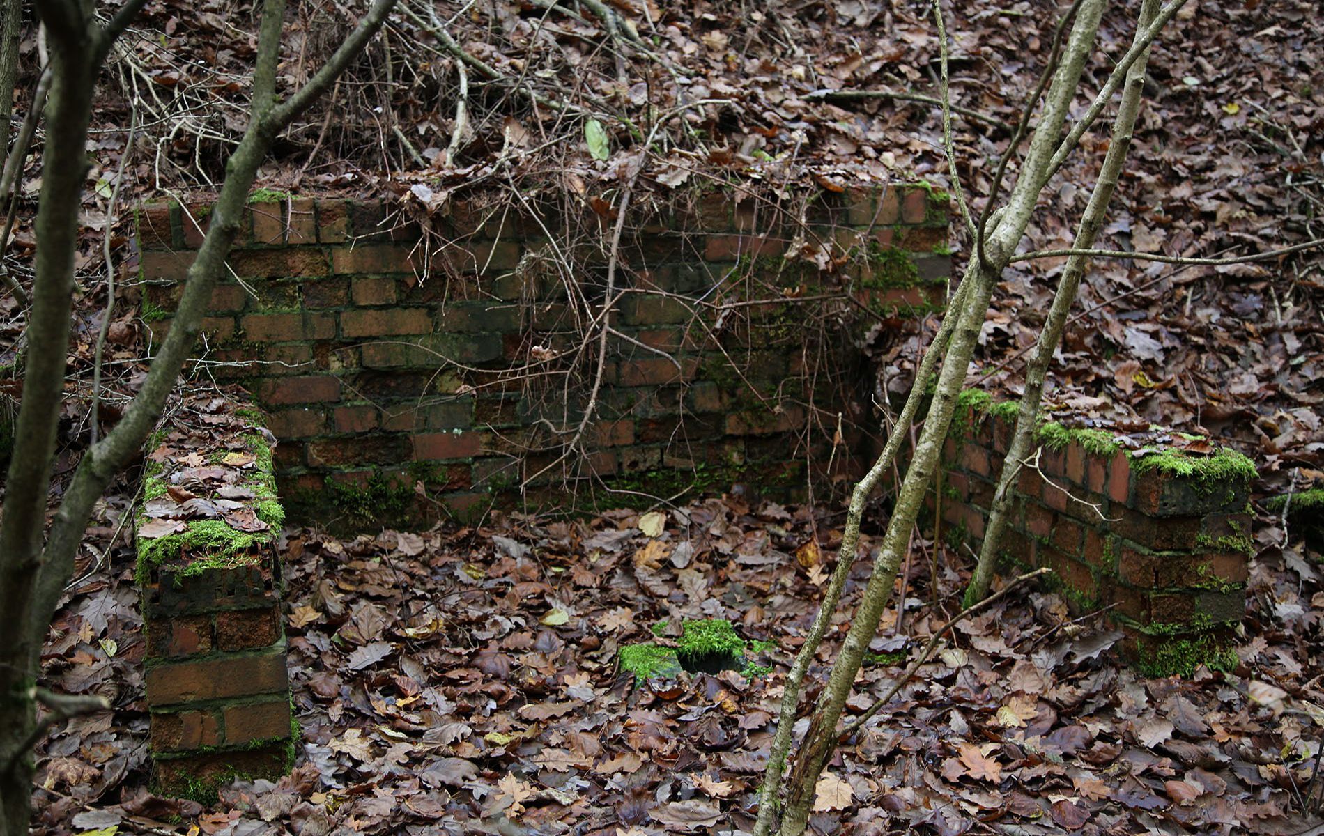 u verlagerung eisvogel u verlagerung eisvogel