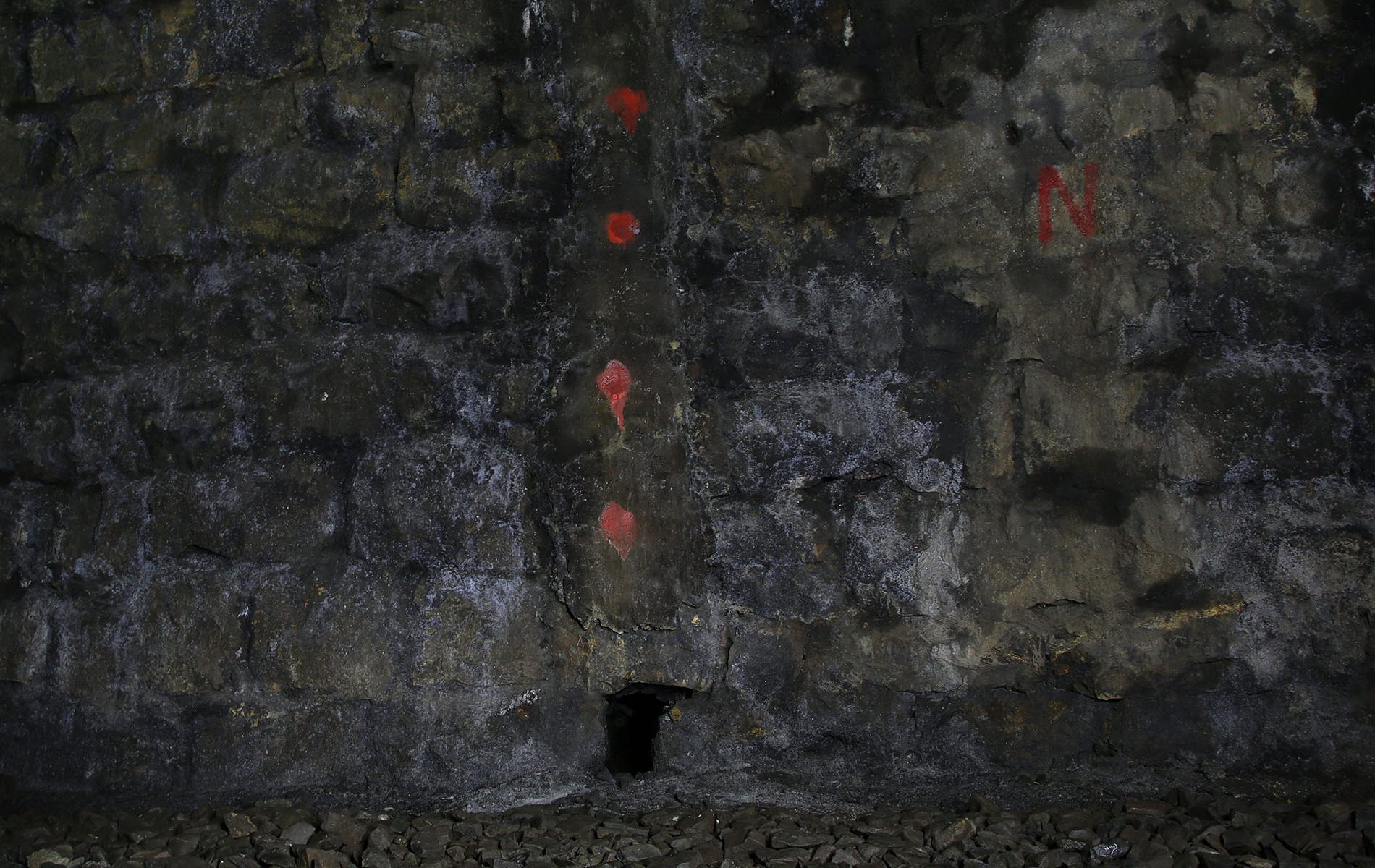 u verlagerung eisvogel u verlagerung eisvogel