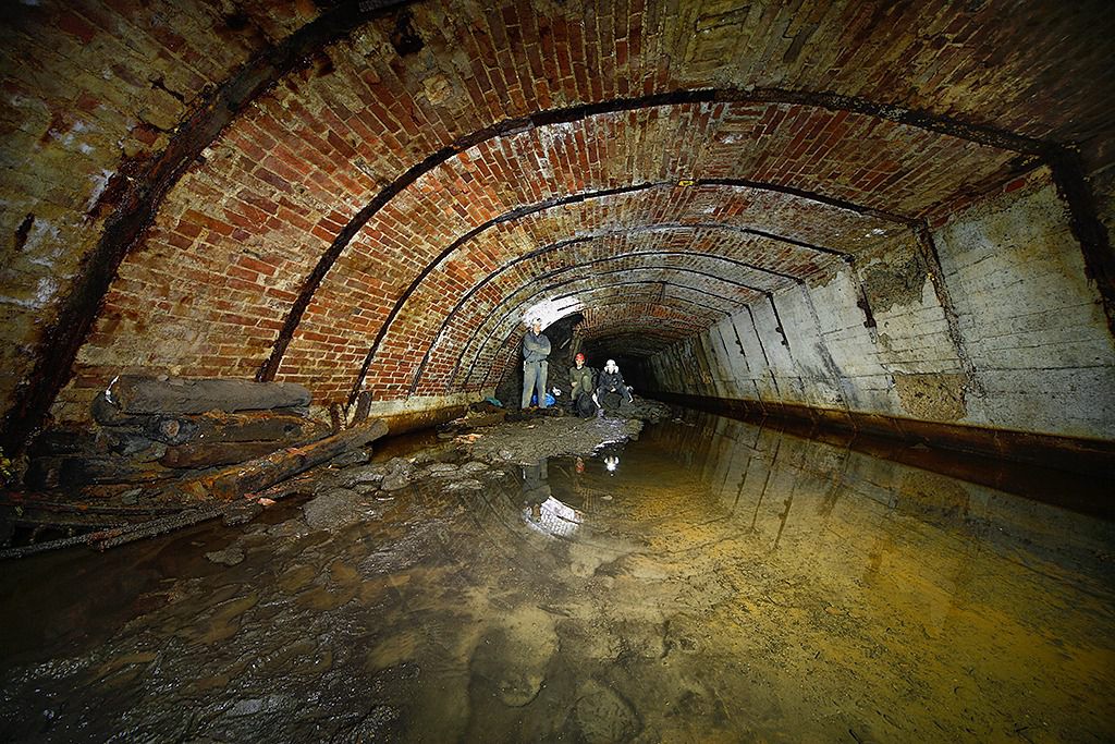 u verlagerung kroete bild