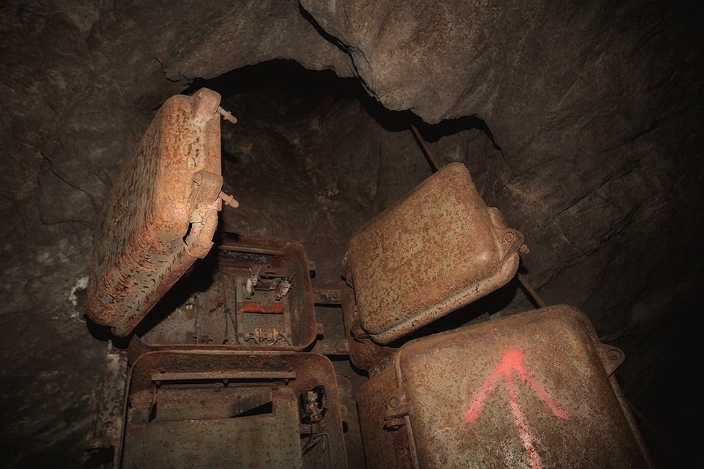 u verlagerung kroete bild