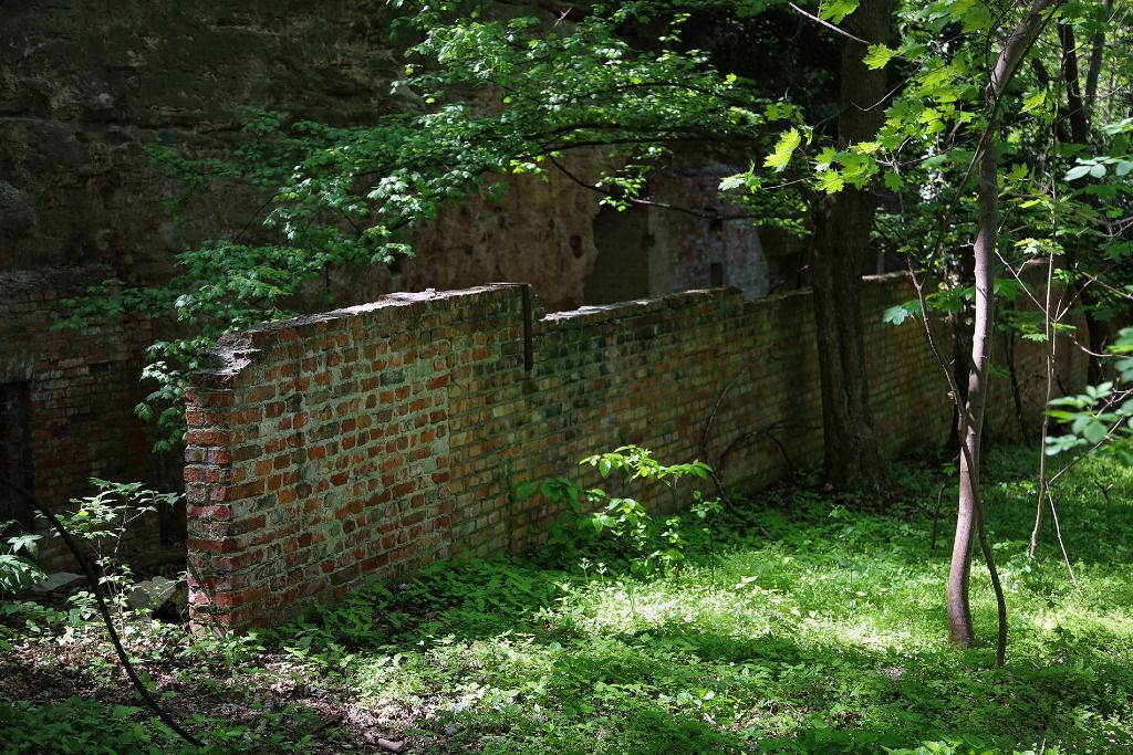 u verlagerung makrele i 51