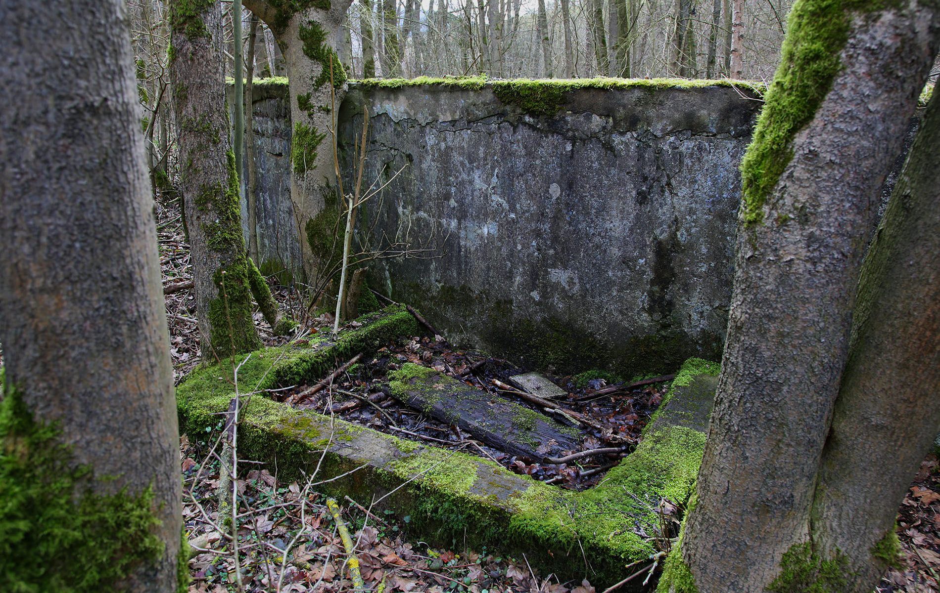u verlagerung ofen 3 4 foto 29 u verlagerung ofen 3 4 foto 29