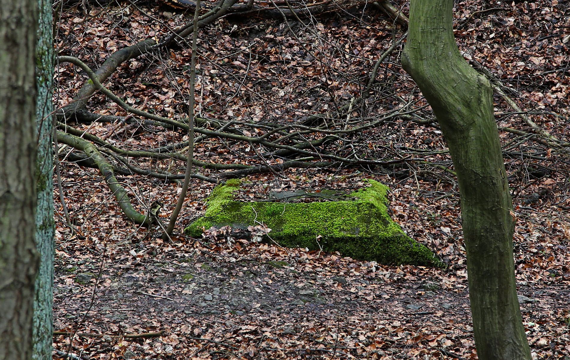 u verlagerung ofen 3 4 foto 47 u verlagerung ofen 3 4 foto 47